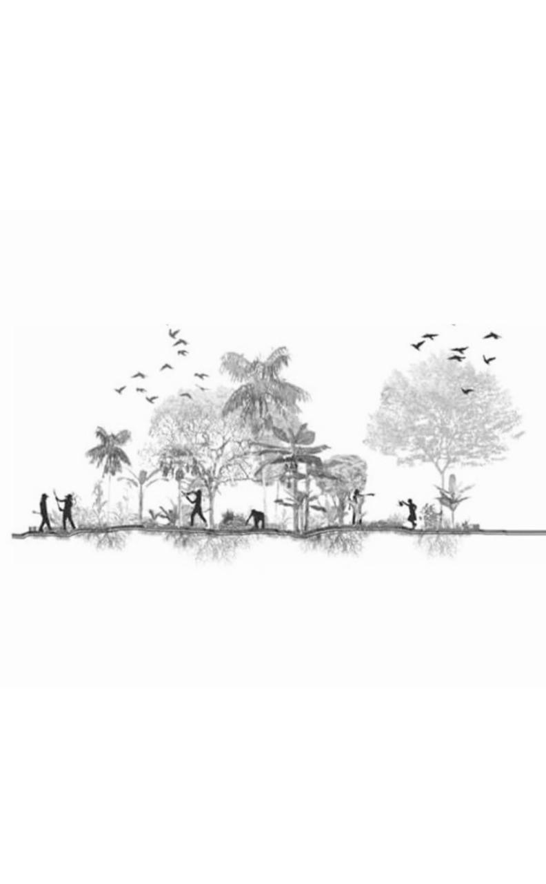 Ecossistema EAÊ Realizará Programa de Vivência em Agrofloresta a partir do Alto Rio das Velhas em Rio Acima, MG